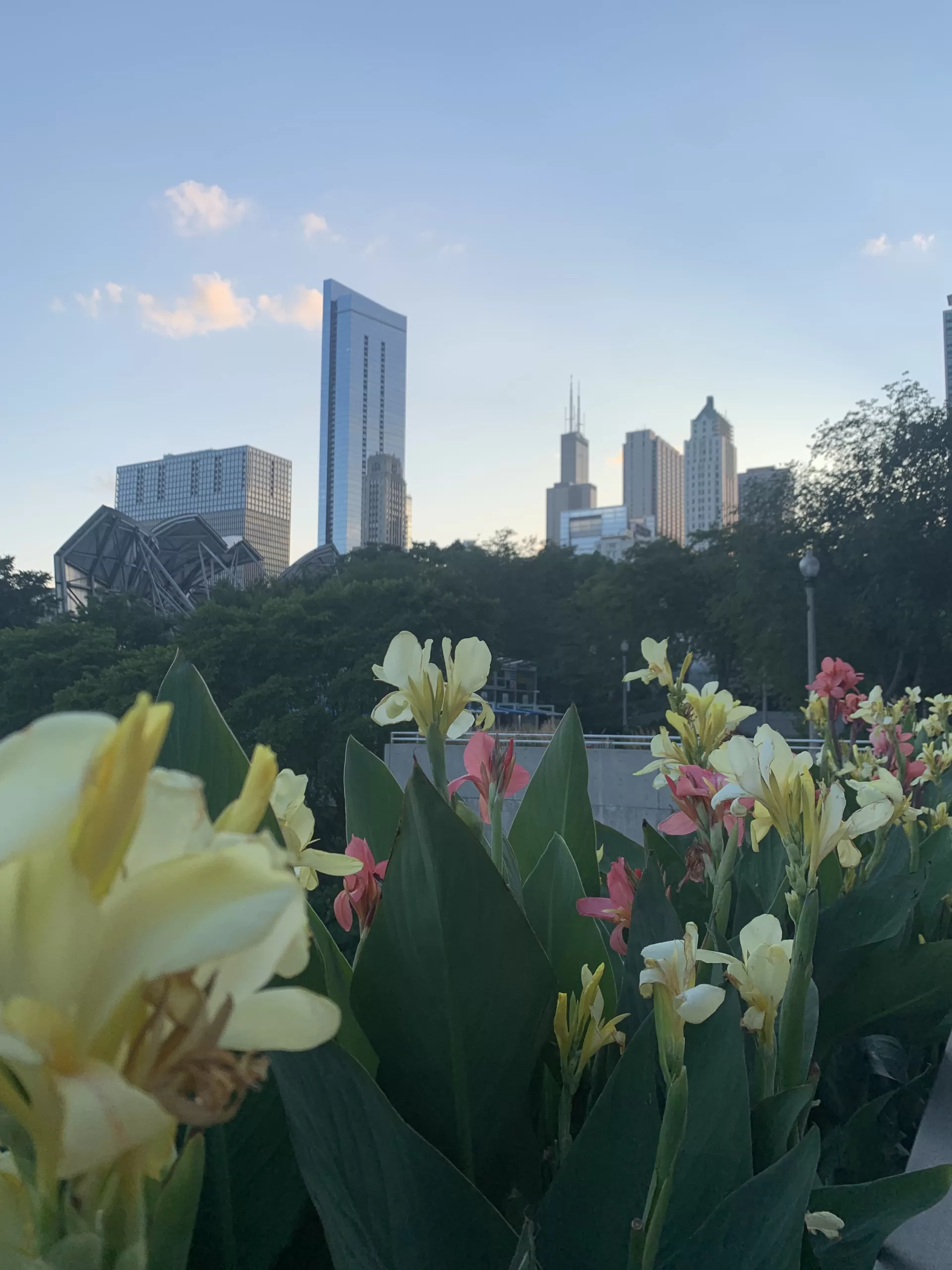 Chicago by the Seasons